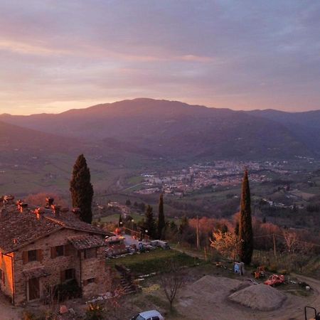 Agriturismo Prato Barone Rufina Eksteriør bilde